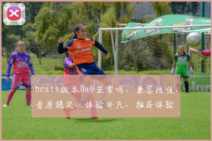 beats版本0a0正常吗，兼容性佳，音质稳定，体验非凡，推荐体验