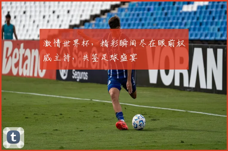 激情世界杯，精彩瞬间尽在眼前权威主持，共鉴足球盛宴