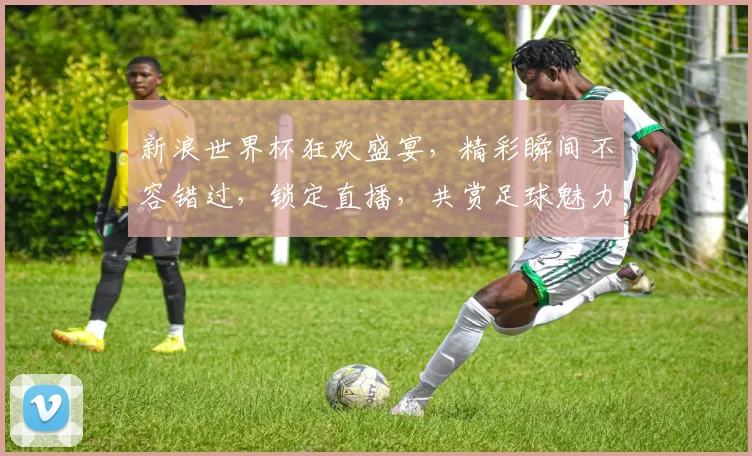 新浪世界杯狂欢盛宴，精彩瞬间不容错过，锁定直播，共赏足球魅力