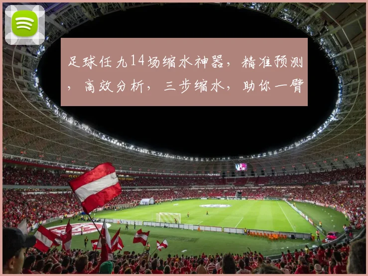 足球任九14场缩水神器，精准预测，高效分析，三步缩水，助你一臂之力，轻松盈利